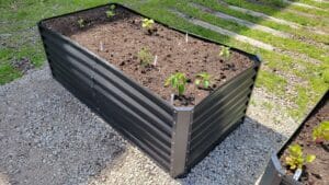 Image showing a young garden at Avivo's community support program.